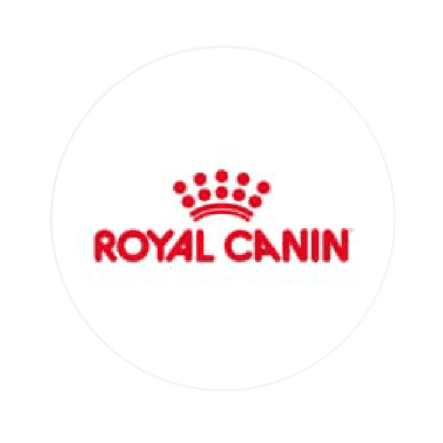 Royal Canin - bongo iot